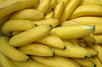 香蕉生产存在的主要问题